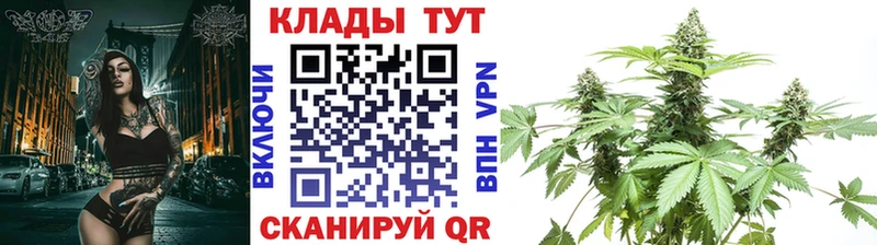 Купить закладку КОКАИН  МЕФ  ГАШИШ  Лодейное Поле