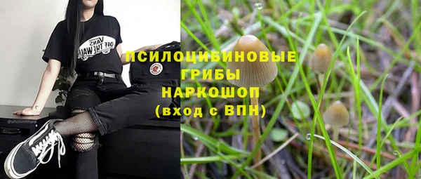 гидра Баксан