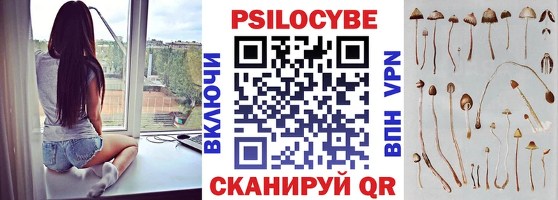 Галлюциногенные грибы мицелий  Купить где  Лодейное Поле 