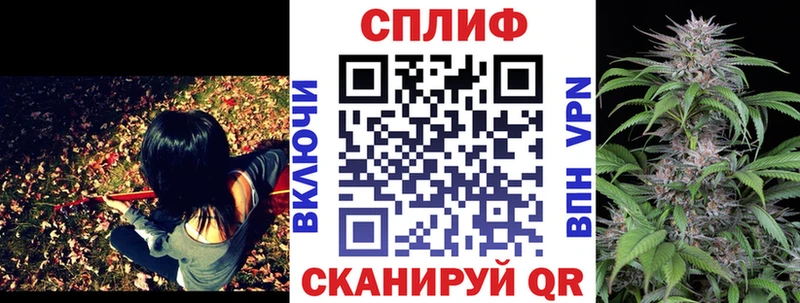 Купить закладки  Лодейное Поле  Бошки марихуана Ganja 